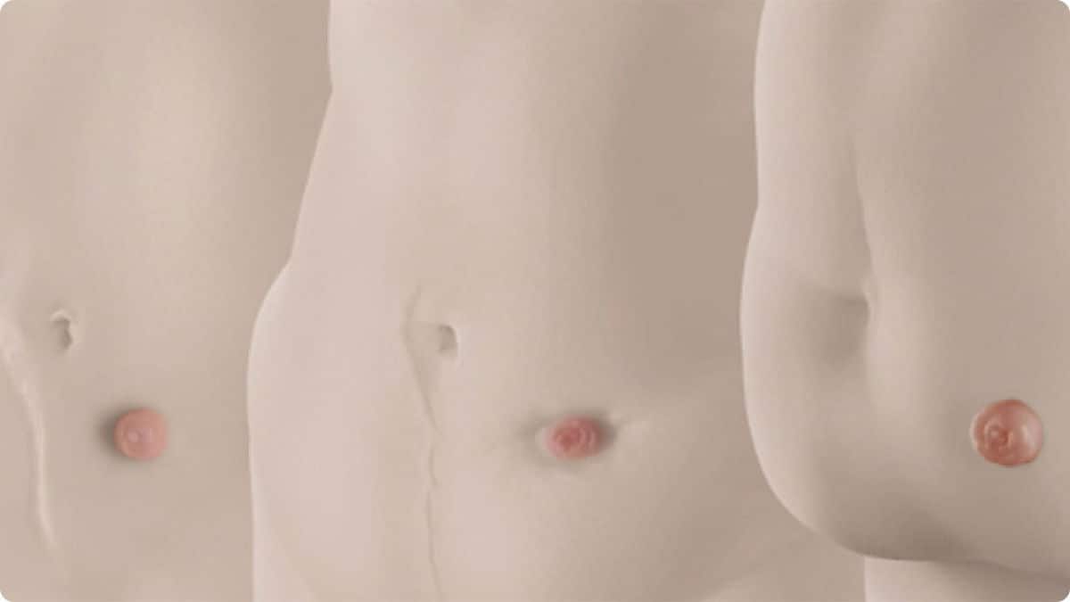 Find your fit with BodyCheck